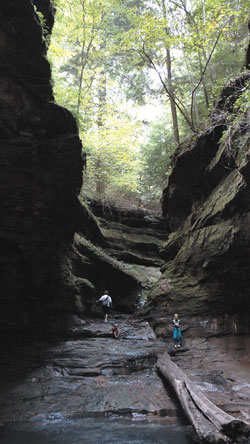 The road less traveled can be found at Turkey Run State Park near Marshall, where sandstone rock formations line gorges that are fun—and sometimes muddy—to hike along in the park’s Rocky Hollow-Falls Canyon Nature Preserve. Each step down the trail takes hikers further back in time.