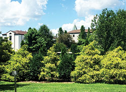 Structures of Gethsemani Abbey in Trappist, Ky., peek through the trees of the monastery grounds. The abbey, established by Trappist monks in 1848, resides in Nelson County, one of the three counties comprising the “Kentucky Holy Land.” (Photo by Natalie Hoefer)